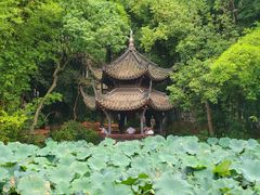-三苏祠