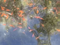 -水磨沟公园