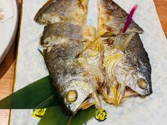 -鮨桐日本料理(望京店)