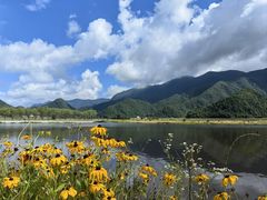 -大九湖