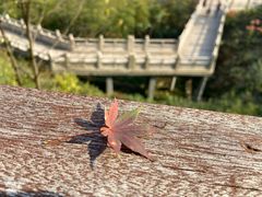 -径山寺