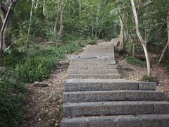 -紫金山山顶公园