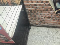 -伍师兄市井火锅(东部星悦天地店)