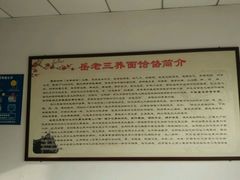 -岳齐茂荞面饸饹