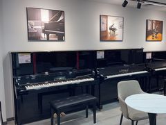 -雅马哈乐器专卖店(广州旗舰店)