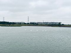 -宁波杭州湾国家湿地公园