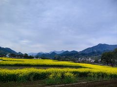 -绩溪龙川景区