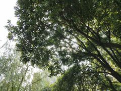 -苏堤停车场