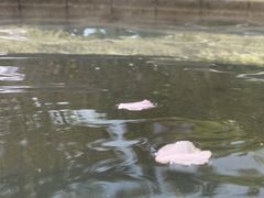 -望儿山温泉水乐园