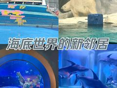 -海合安天津极地海洋公园