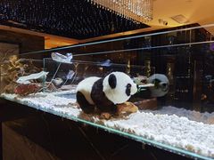 -红辣椒·川菜·火锅(张杨路店)