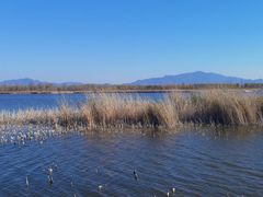 -野鸭湖国家湿地公园