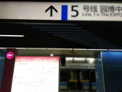 -大龙山(地铁站)