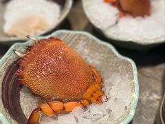 -亚马逊蒸汽活海鲜自助(LCM置汇旭辉广场店)