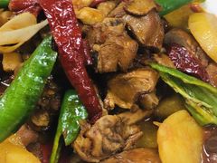 -巴依老爷新疆美食(望京小街店)