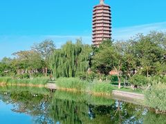 -西海子公园