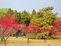 -莲花池公园