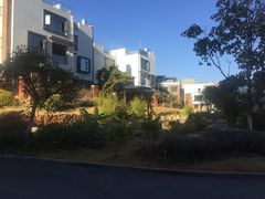 -大理洱海龙湾假日酒店