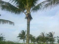 -白沙门生态公园