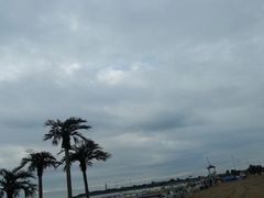 -东戴河风景区