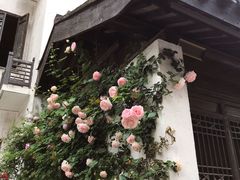 -惠山古镇·寄畅园