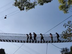 -南丹山森林王国