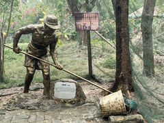 -北海金海湾红树林生态旅游区