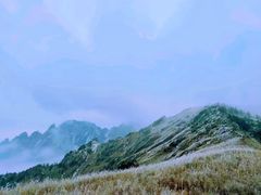 -秦岭风景区