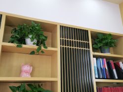 点击看大图 -WENDY·温迪皮肤管理