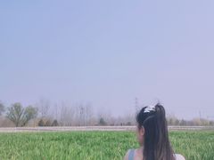 -永定河休闲森林公园