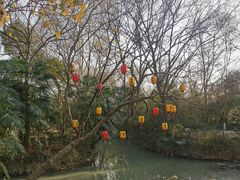 -西溪国家湿地公园