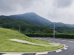 -黄埔油麻山森林公园