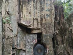 -铁山坪森林公园