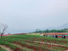 -抚仙湖禄充风景区