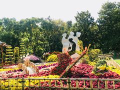 -上海共青森林公园