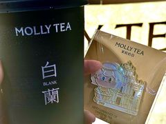 -澳门威尼斯人综合度假区