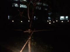 -东北大学(南湖校区)