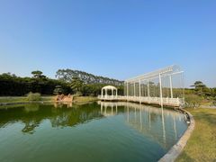 -迪茵湖田家舍生态农场