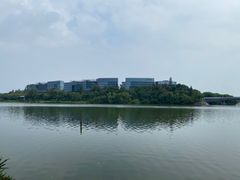 -华侨城湿地公园