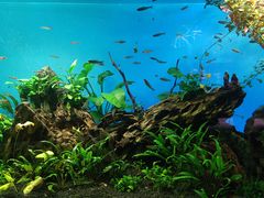 -太平洋海底世界