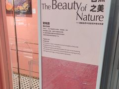 -CloudD'or可露朵蛋糕(1733商业空间店)