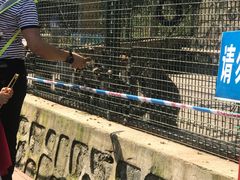 -南京金牛湖风景区