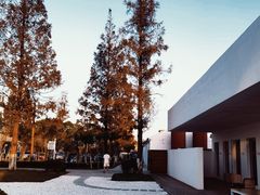 -东平国家森林公园