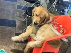 -回头烧烤(悦荟购物中心店)