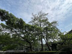 -大雁山风景区