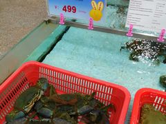 -渔民新村(番禺总店)