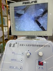 点击看大图 -PE SALON