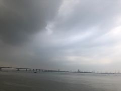 -大湾区中央湿地公园