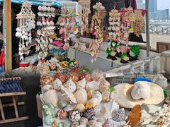 -日照世帆赛基地