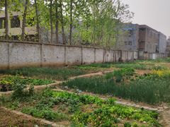 -玉雕湾国际玉城-石佛寺